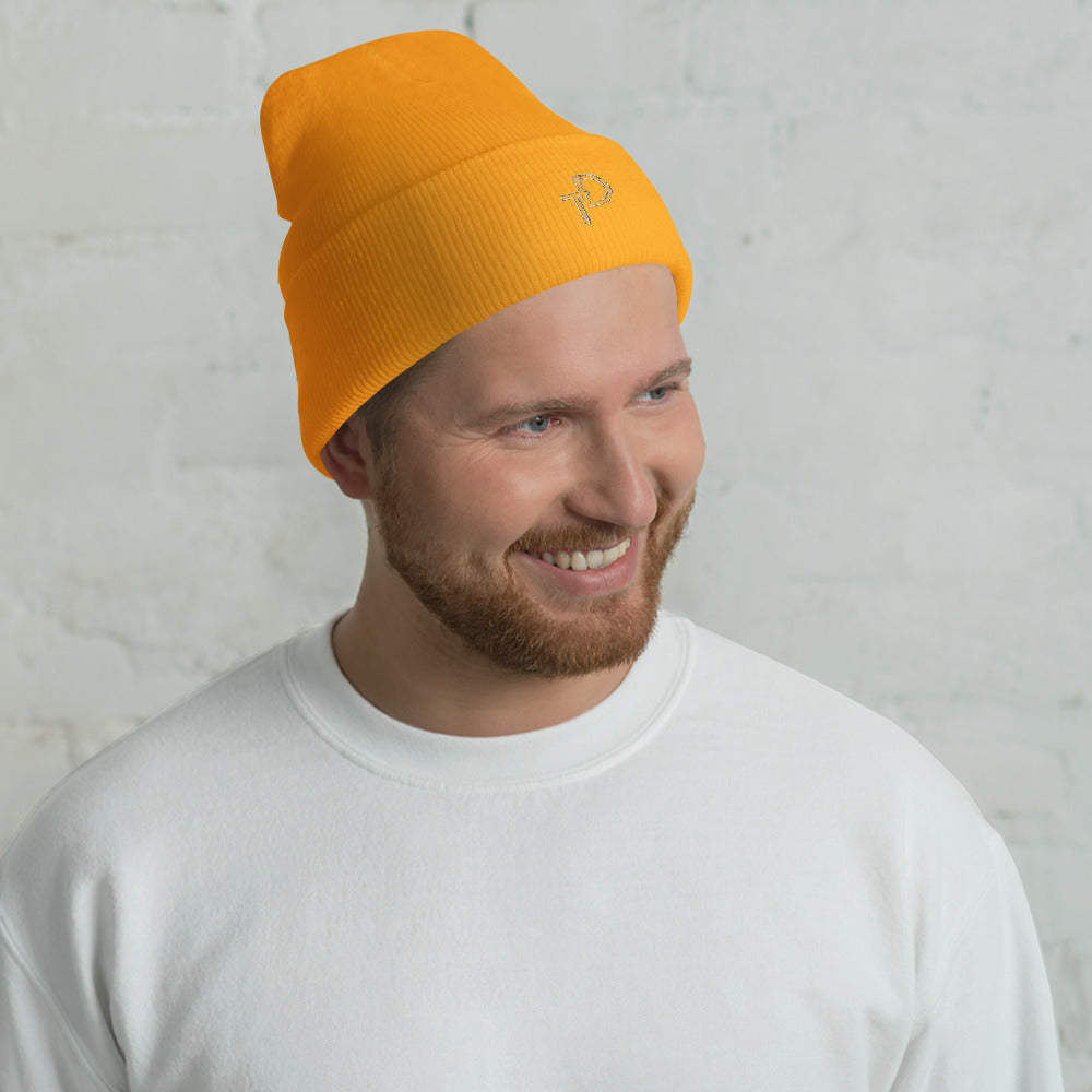 Cuffed Beanie White "TD" Logo